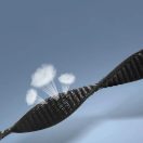 Tech-Protect Nylon Xiaomi Mi Smart Band 10 / Band 9 / Band 8 szövet szíj, fekete