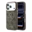Guess PU 4G Resin Metal Logo Apple iPhone 18 Pro hátlap tok, barna-arany