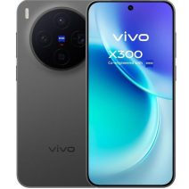 Vivo X300